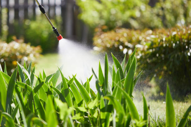 24/7 Emergency Termite Control experts in St. Joseph, MO
