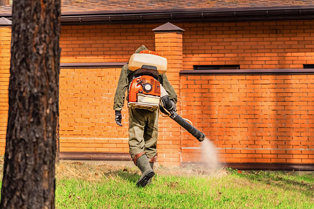 Trusted Bed Bug Control service in St. Joseph, MO - Nex Pest Control